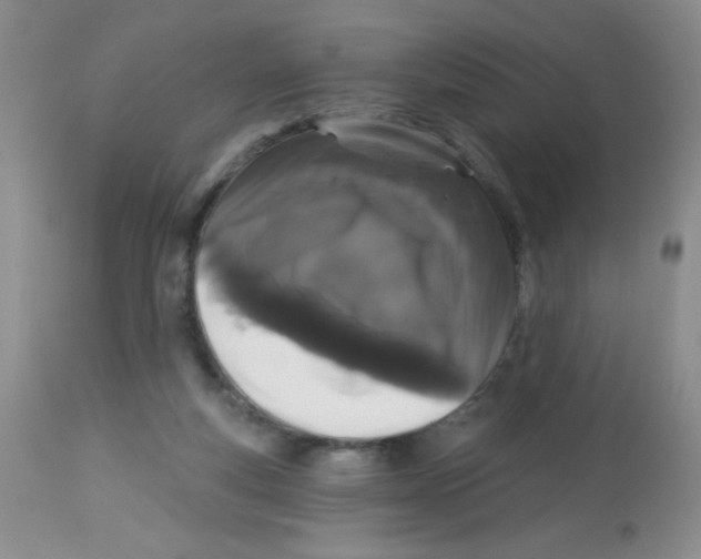 X0000113940163200910231952