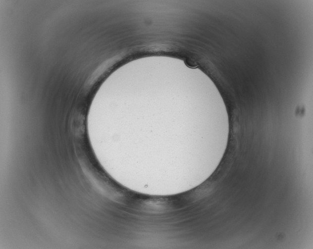 X0000113940164200910231952