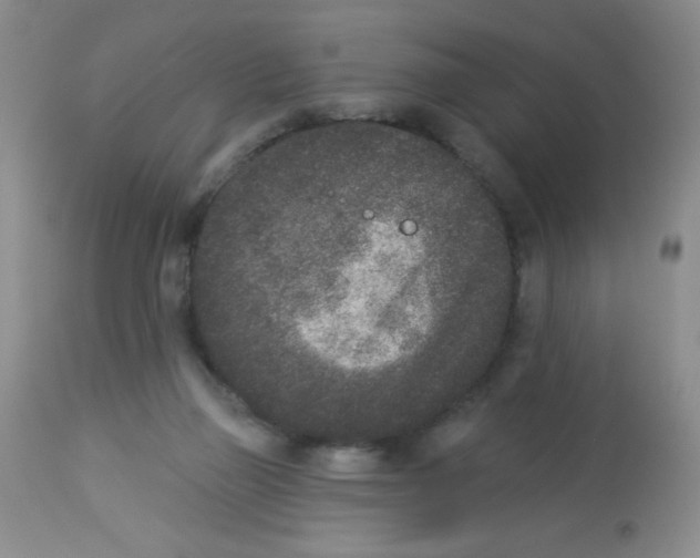 X0000113940165200910231952