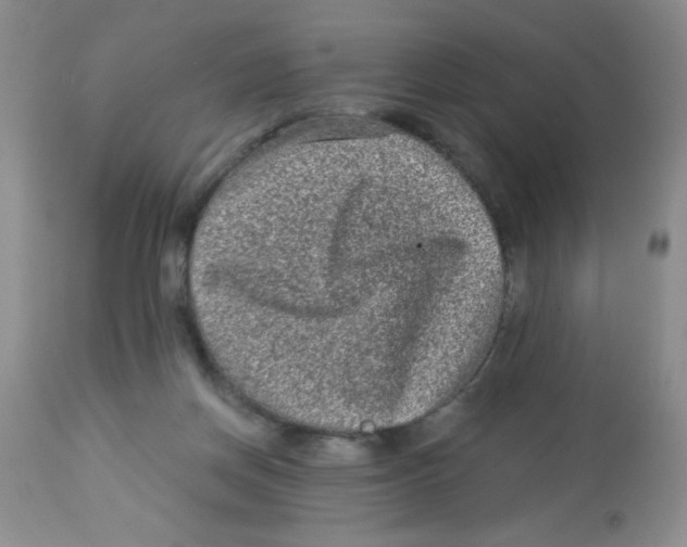 X0000113940166200910231952