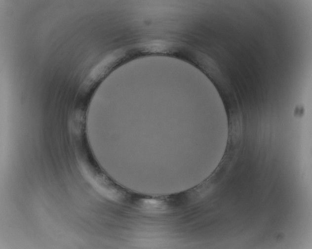 X0000113940167200910231952