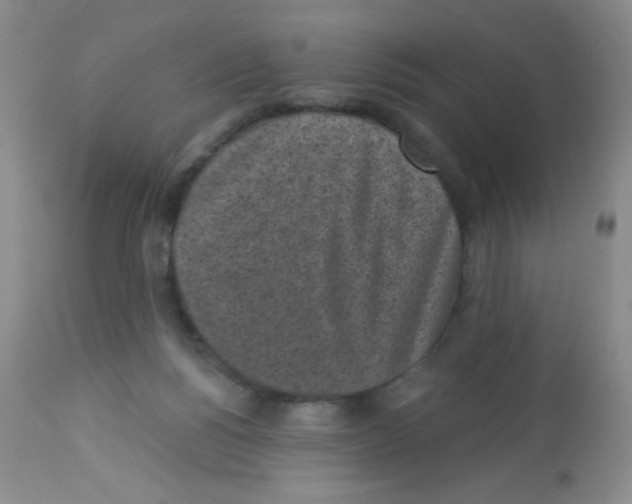X0000113940168200910231952