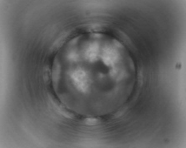 X0000113940169200910231952