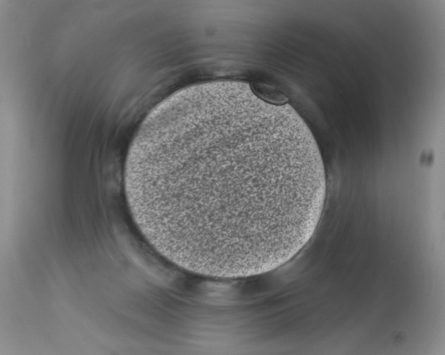 X0000113940170200910231952