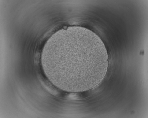 X0000113940171200910231952