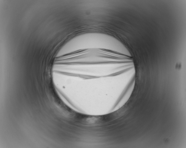 X0000113940172200910231952