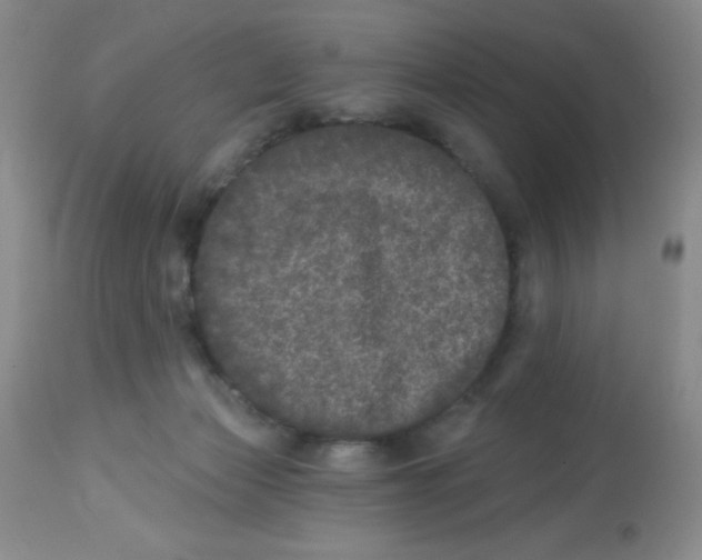 X0000113940173200910231952