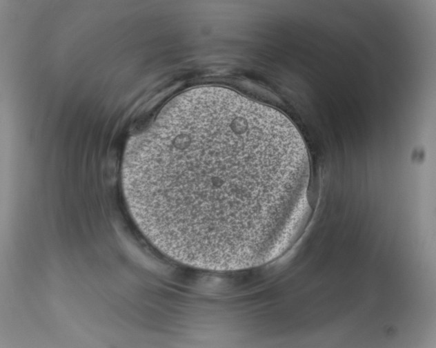X0000113940174200910231952