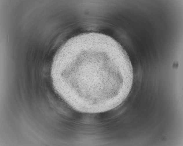 X0000113940175200910231952