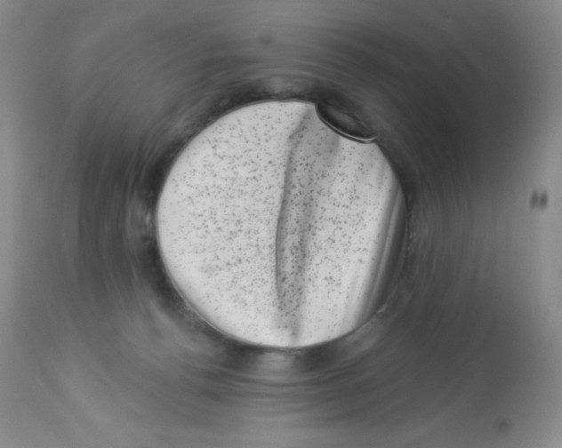 X0000113940176200910231952