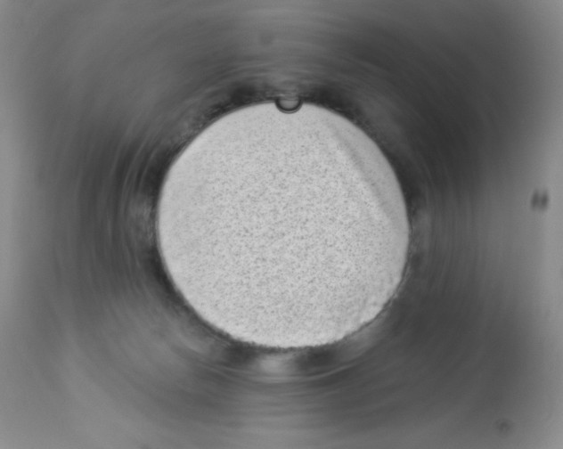 X0000113940178200910231952