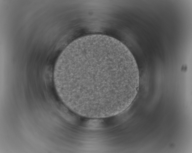 X0000113940179200910231952