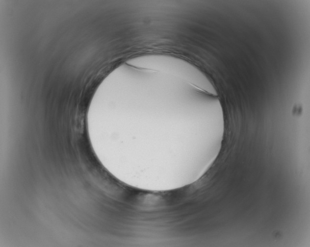 X0000113940180200910231952