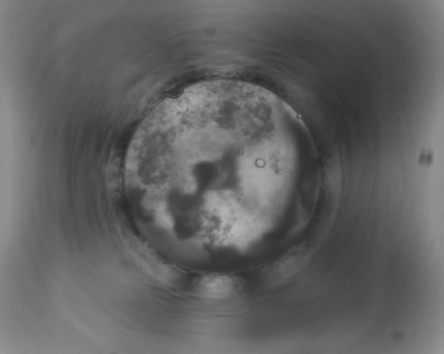 X0000113940181200910231952