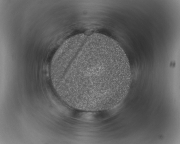 X0000113940182200910231952