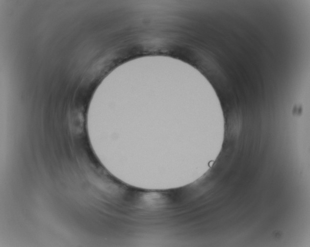 X0000113940183200910231952