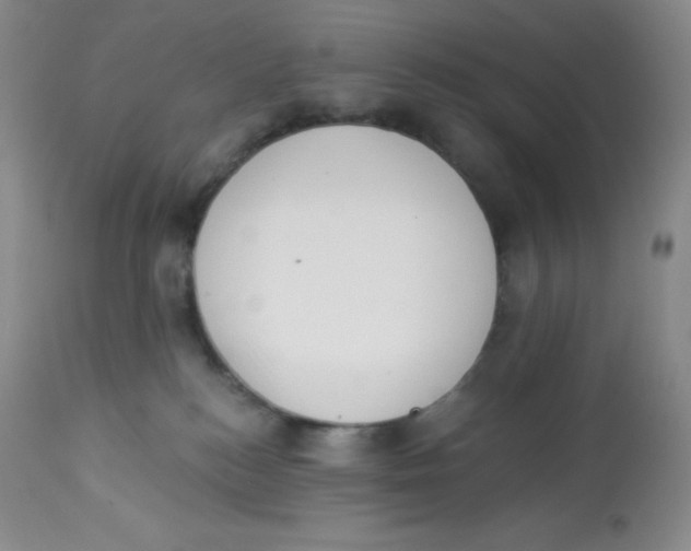 X0000113940184200910231952