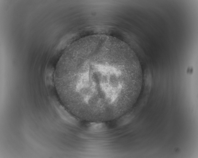 X0000113940185200910231952