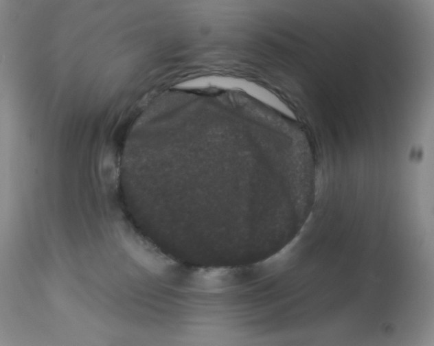 X0000113940186200910231952