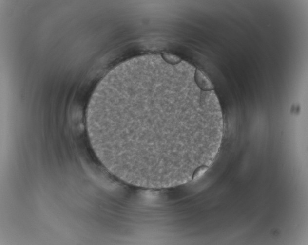 X0000113940187200910231952