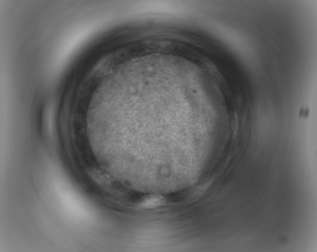 X0000113940189200910231952