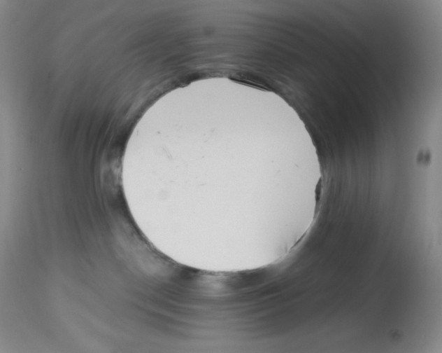 X0000113940190200910231952