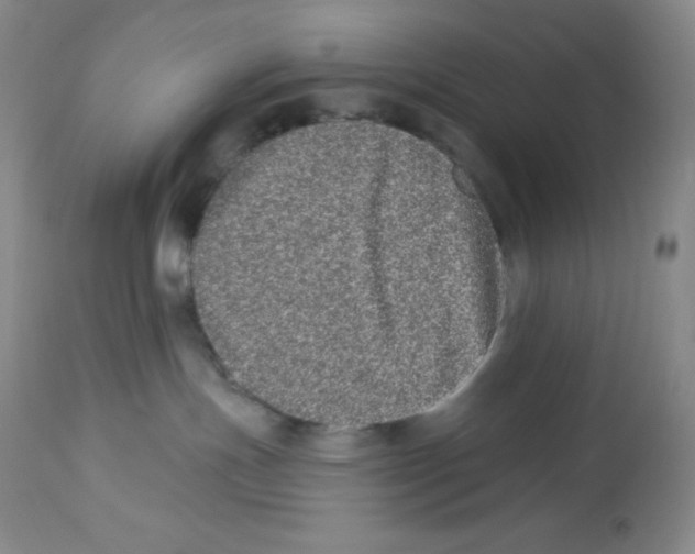 X0000113940191200910231952