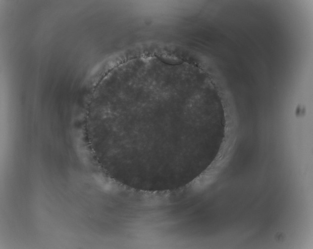 X0000113940192200910231952