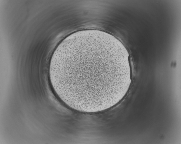 X0000113940193200910231951