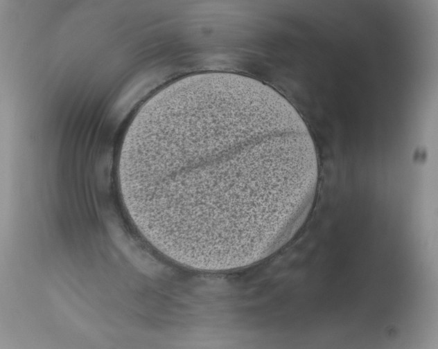 X0000113940194200910231951