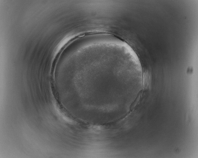 X0000113940195200910231951