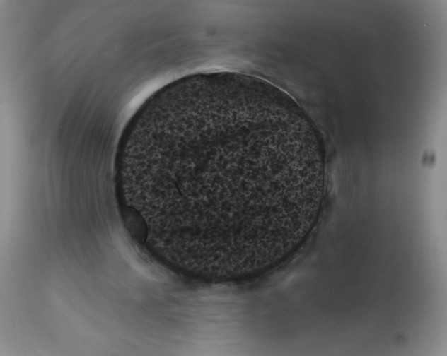 X0000113940196200910231951