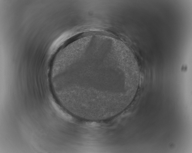 X0000113940197200910231951