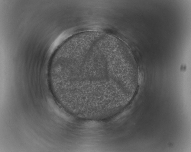 X0000113940198200910231951