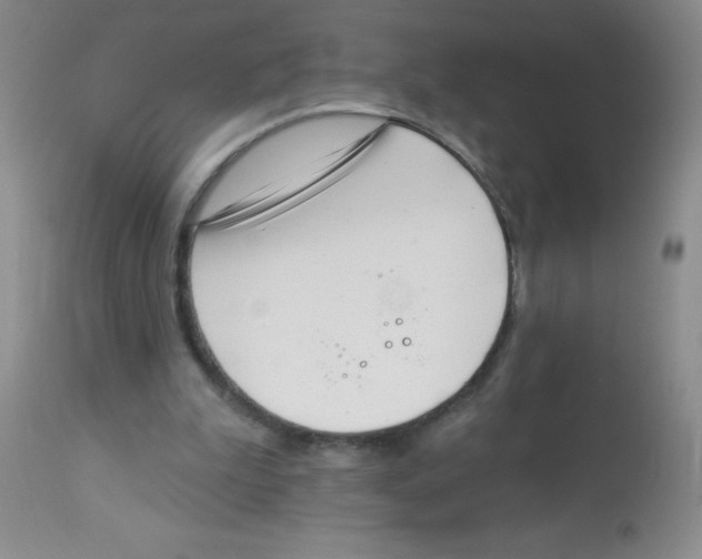 X0000113940199200910231951