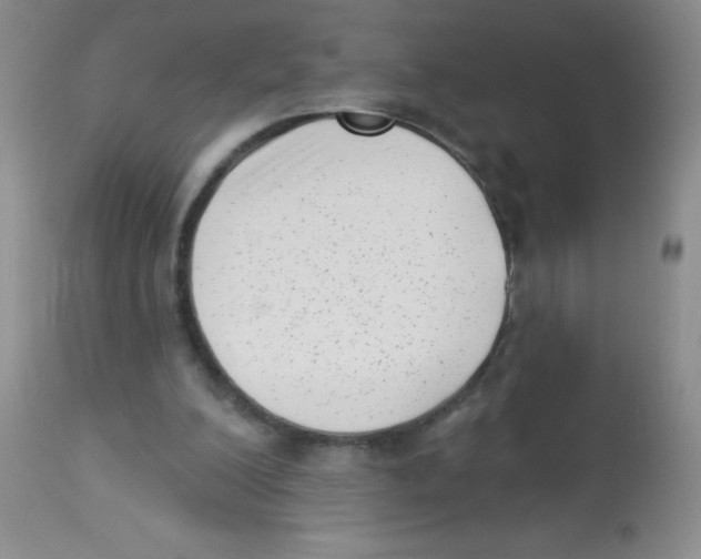 X0000113940200200910231951