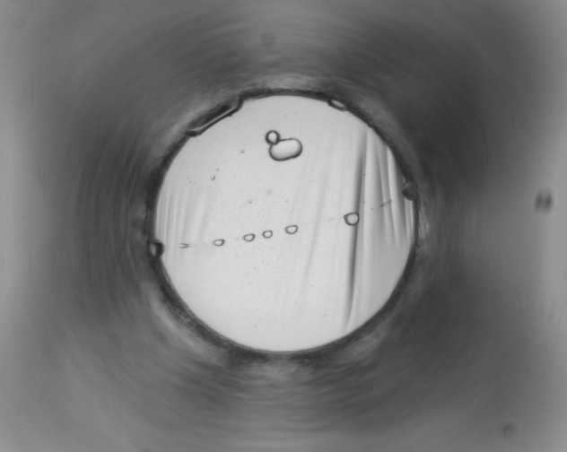 X0000113940201200910231951