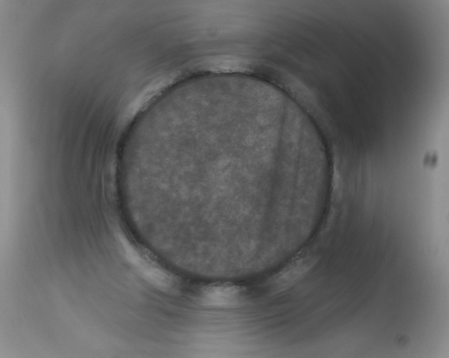 X0000113940202200910231951