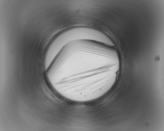 X0000113940203200910231951