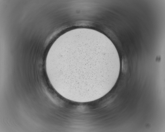X0000113940204200910231951