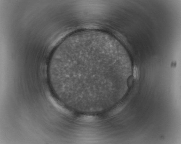 X0000113940205200910231951