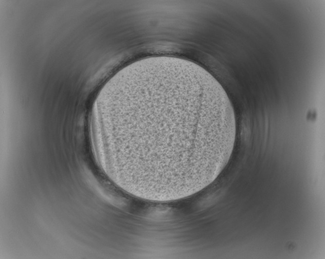 X0000113940206200910231951