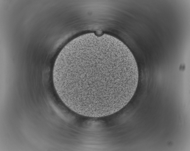 X0000113940208200910231951