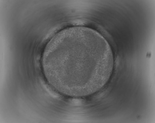 X0000113940209200910231951