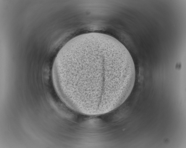 X0000113940210200910231951