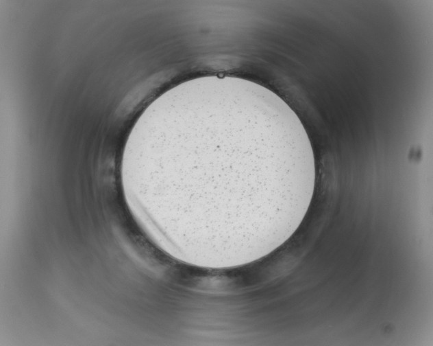 X0000113940212200910231951