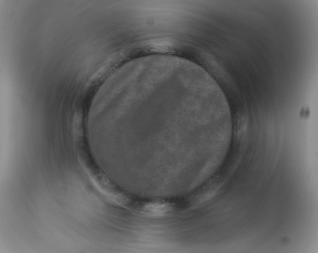 X0000113940213200910231951