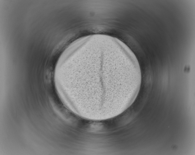 X0000113940214200910231951