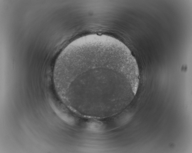 X0000113940215200910231951