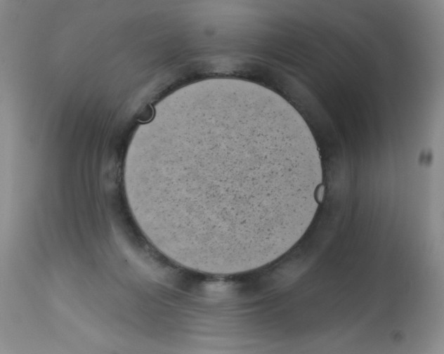 X0000113940216200910231951